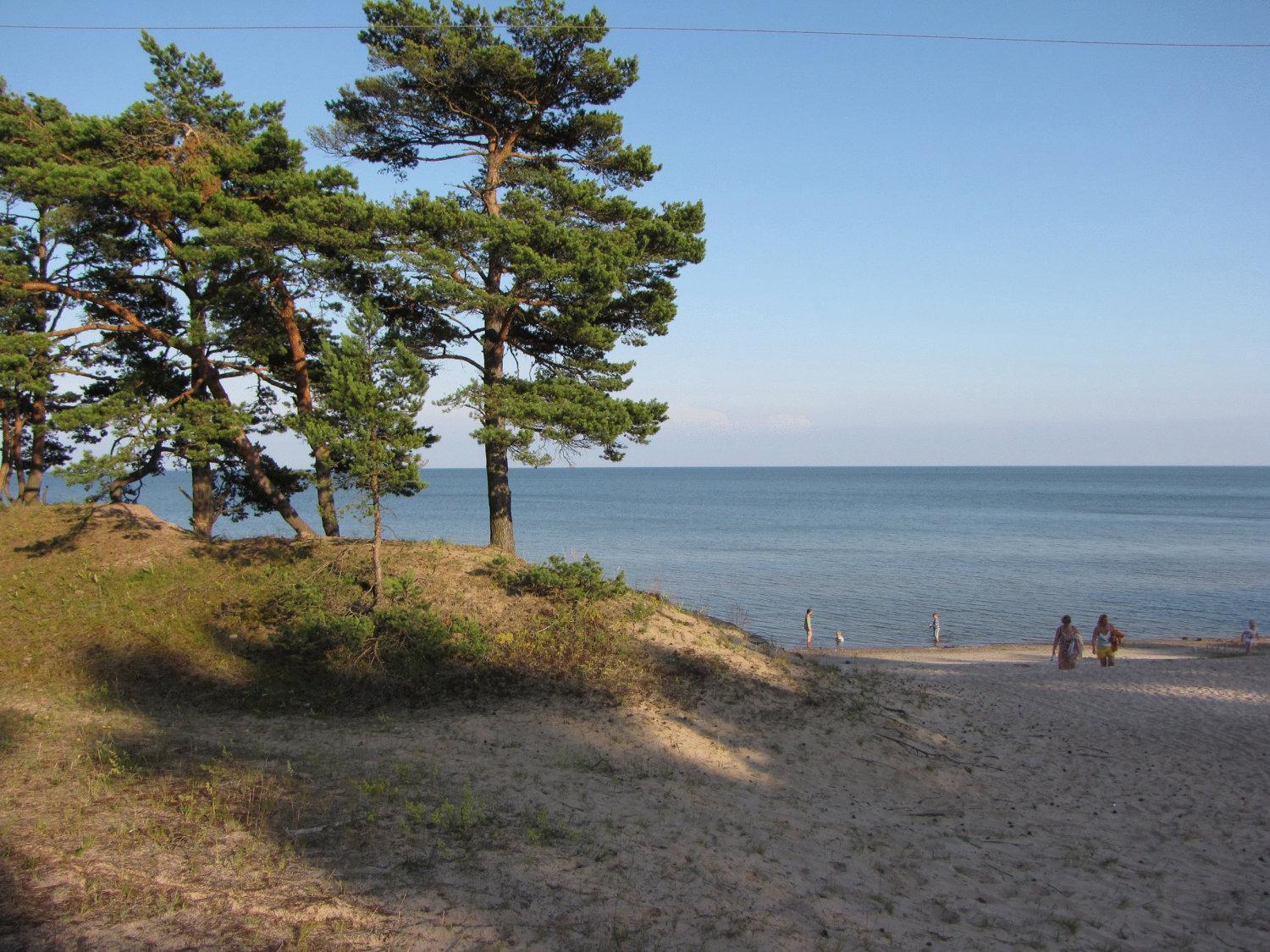 Mandjala Puhketalu - Cottages Экстерьер фото